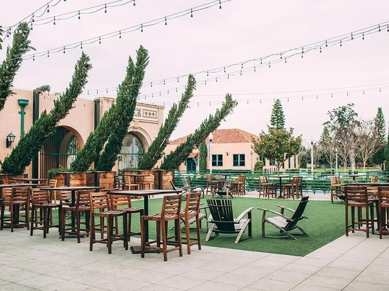 IVY+ Happy Hour &amp; Networking Night&nbsp;