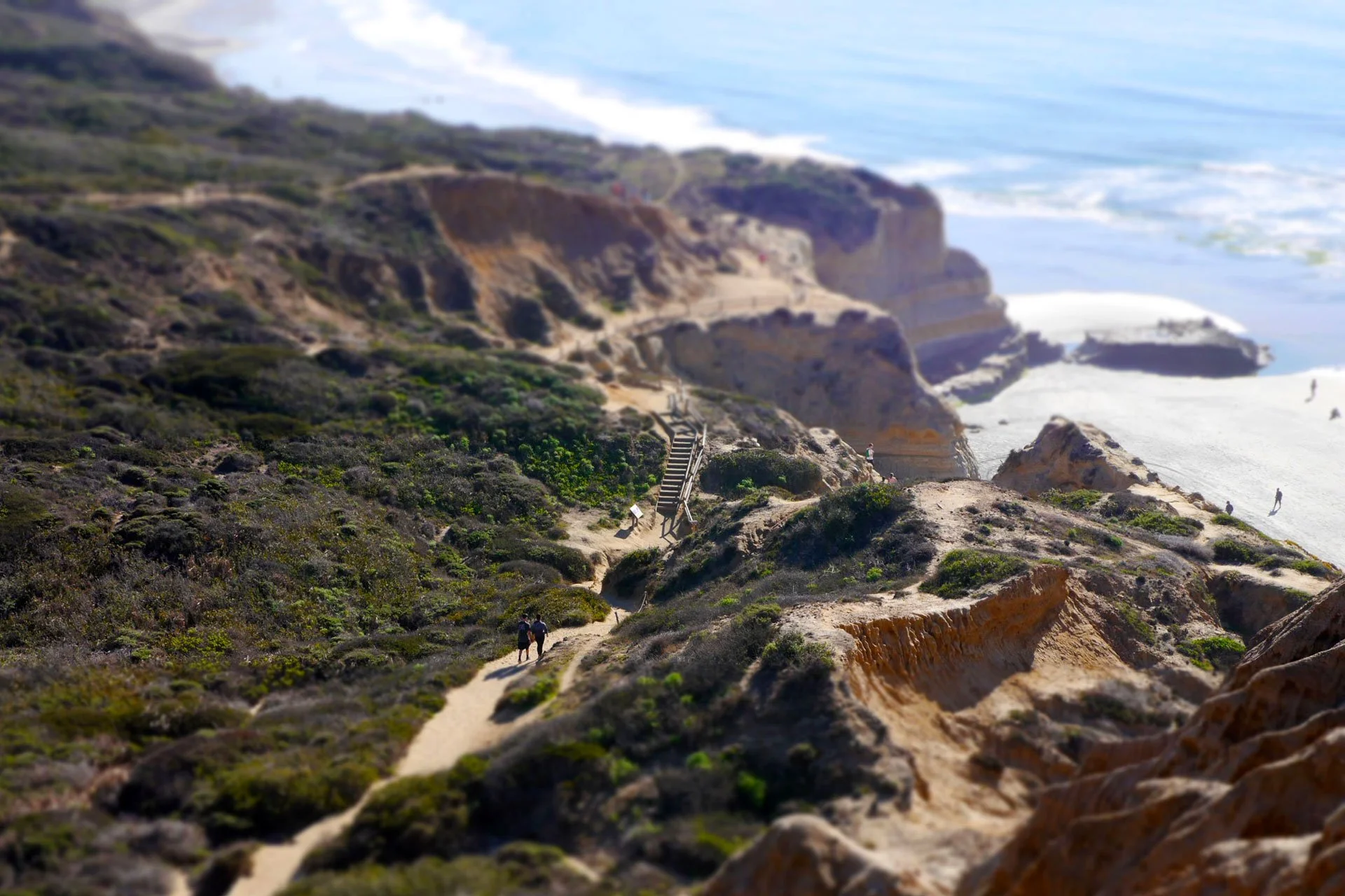 COLUMBIA HIKE + HOPS: Torrey Pines &amp; New English Brewing