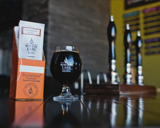 Hello 2026!  MBASD is doing its first mixer of the year 