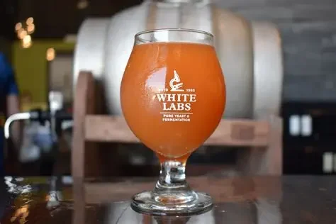 NYU Stern Mixer &amp; Designing Your Life Workshop