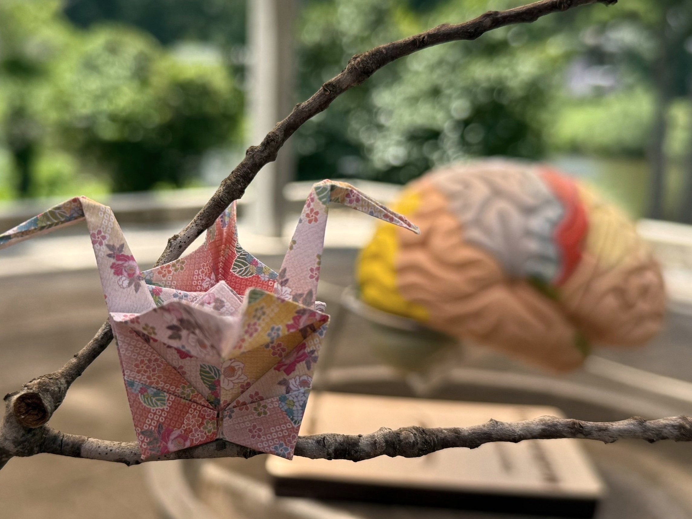 Crane Brain.jpg