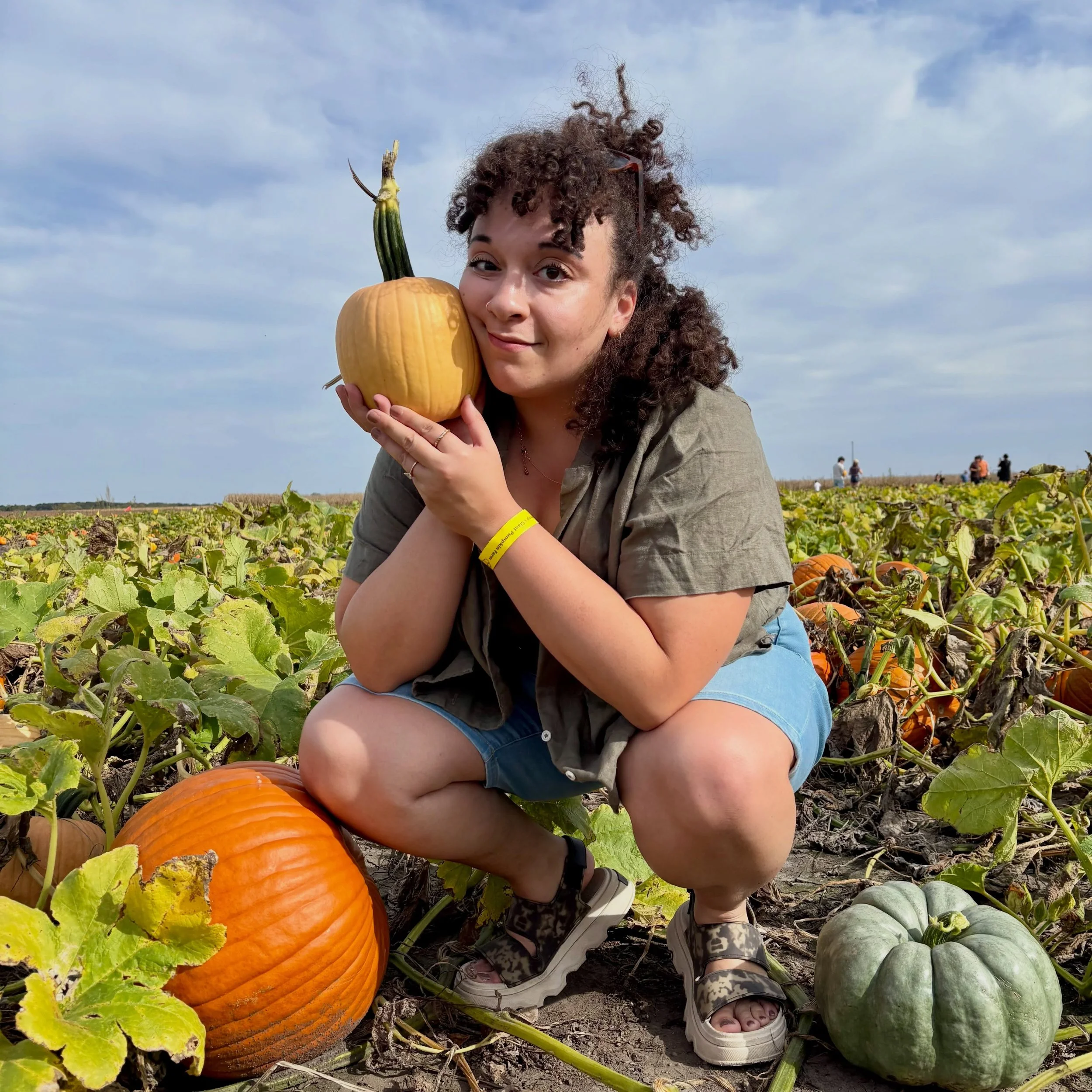 Ah! Pumpkins! 🎃