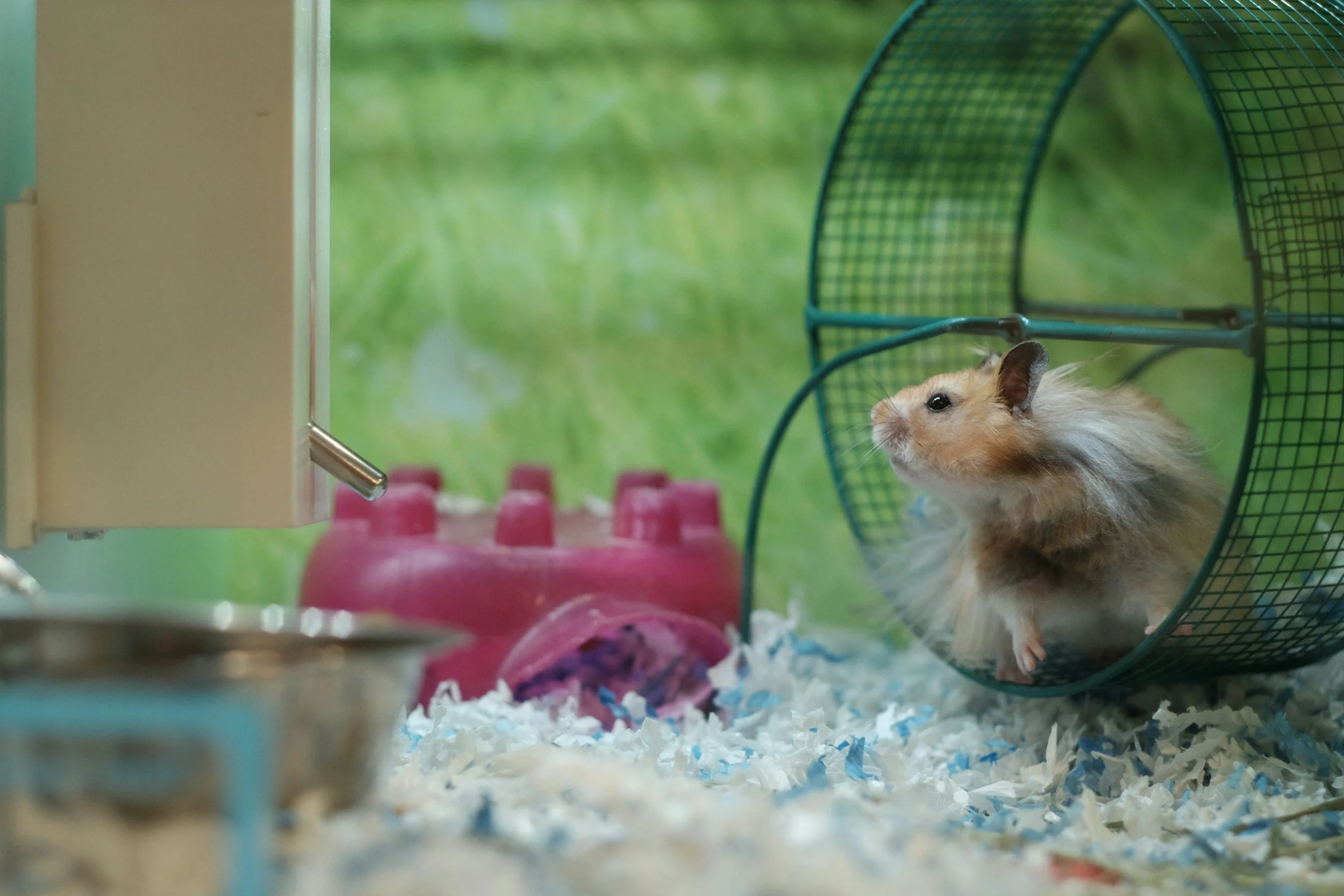 Faith and the Hamster Wheel