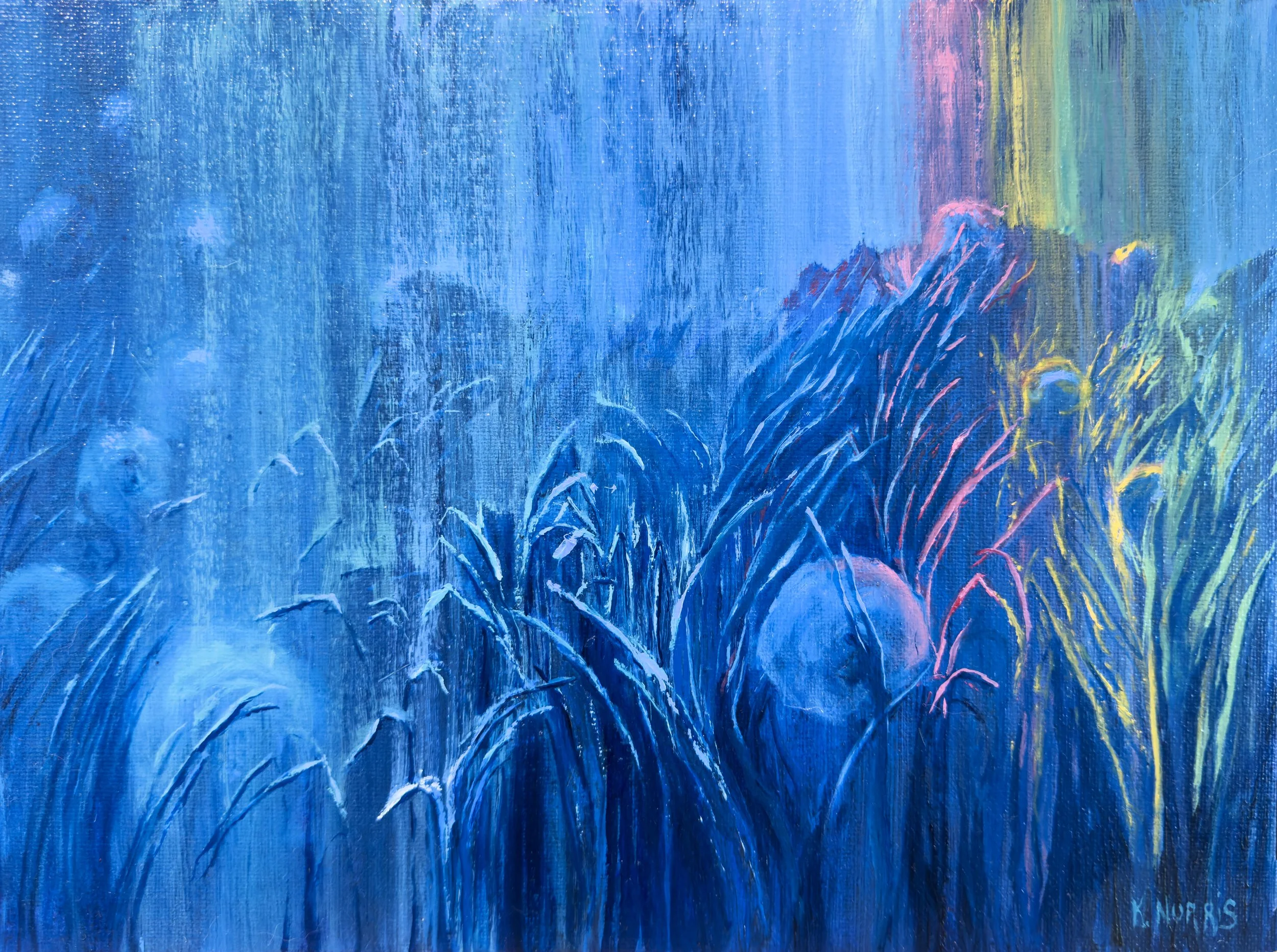 Dandelions in Rainbow Rain.jpg