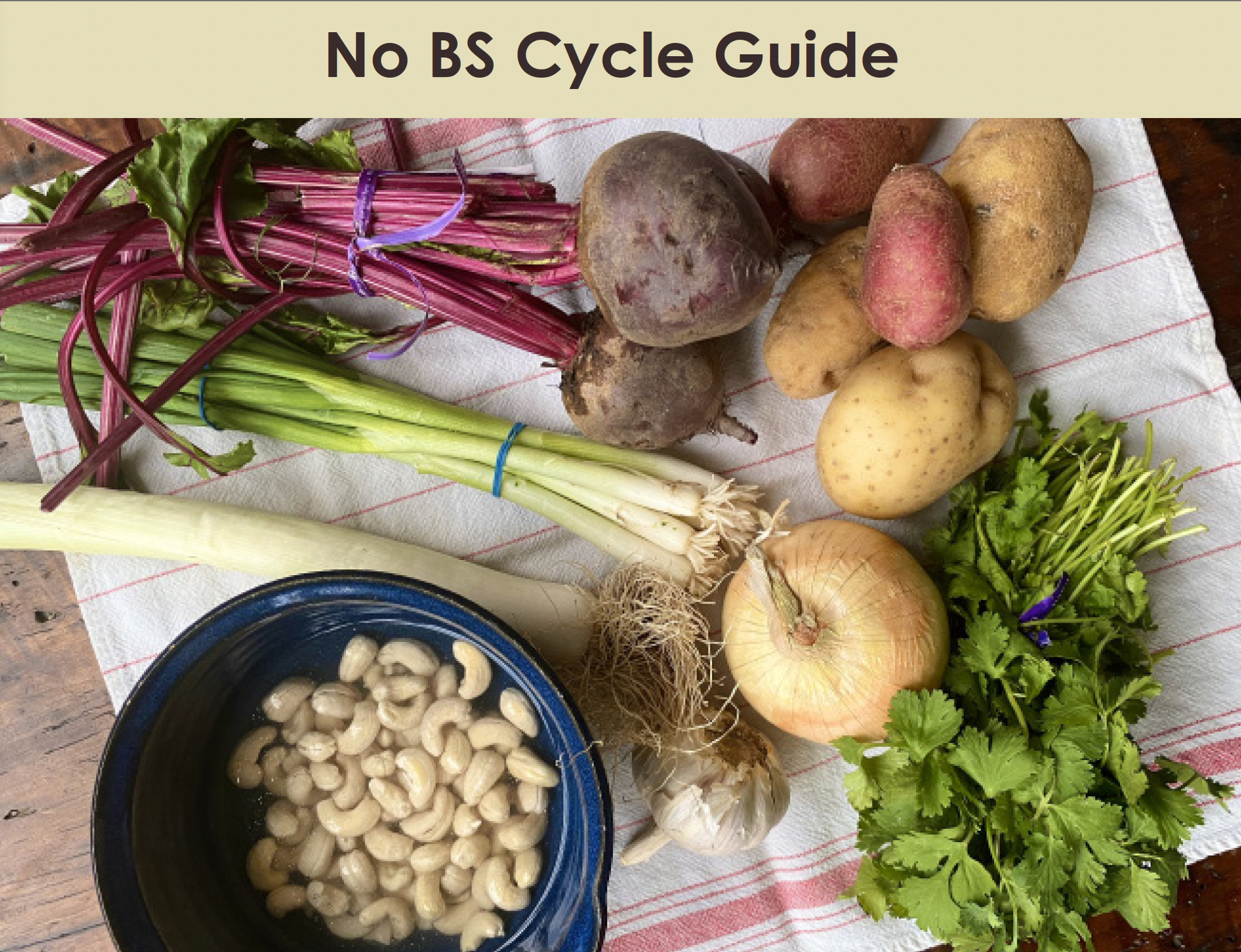 Guide Cover.png