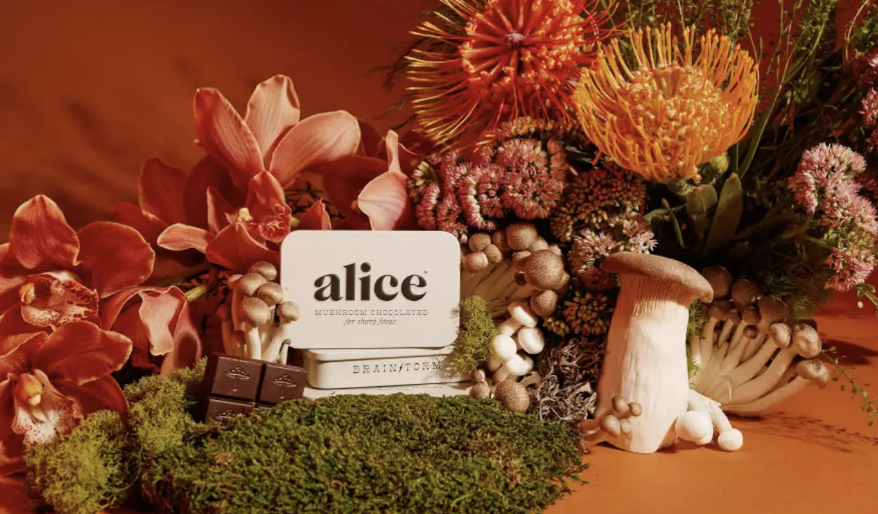 Use code "LILYFEEDSYOU" for 15% off