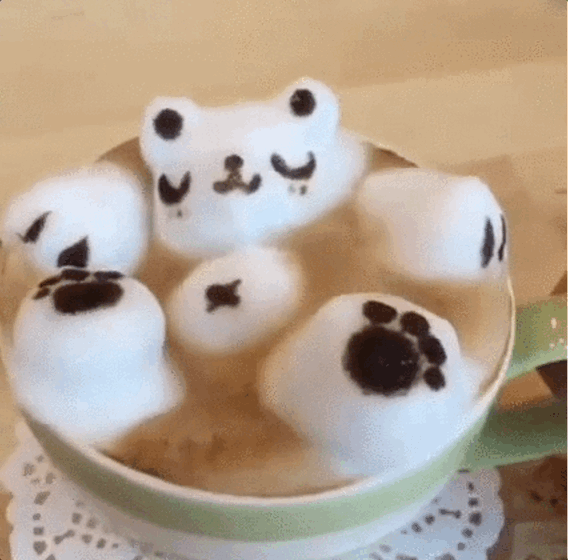 Landing Page GIFY.gif