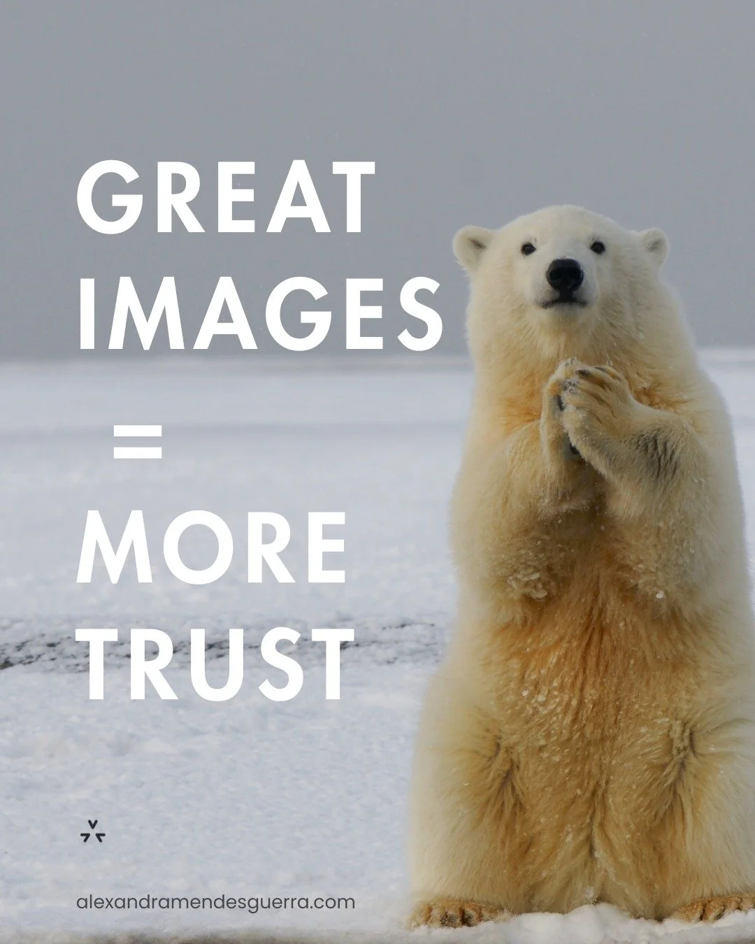 Images Build Trust

The right images help clients connect with your brand and feel confident choosing your services.

#BrandPhotography #SmallBizTips #BuildTrust