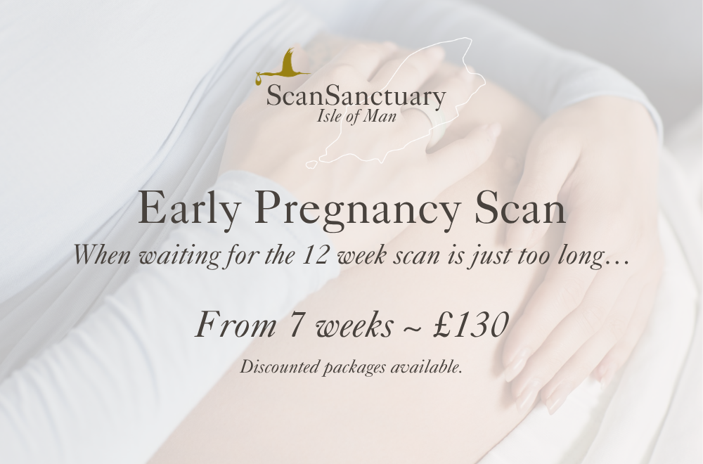 Early Pregnancy Scan