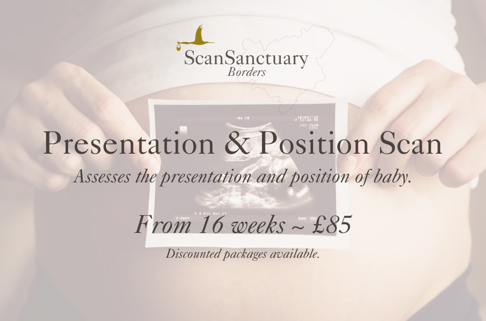Presentation &amp; Position Scan