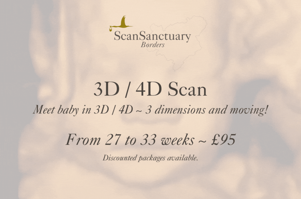 3D / 4D Scan