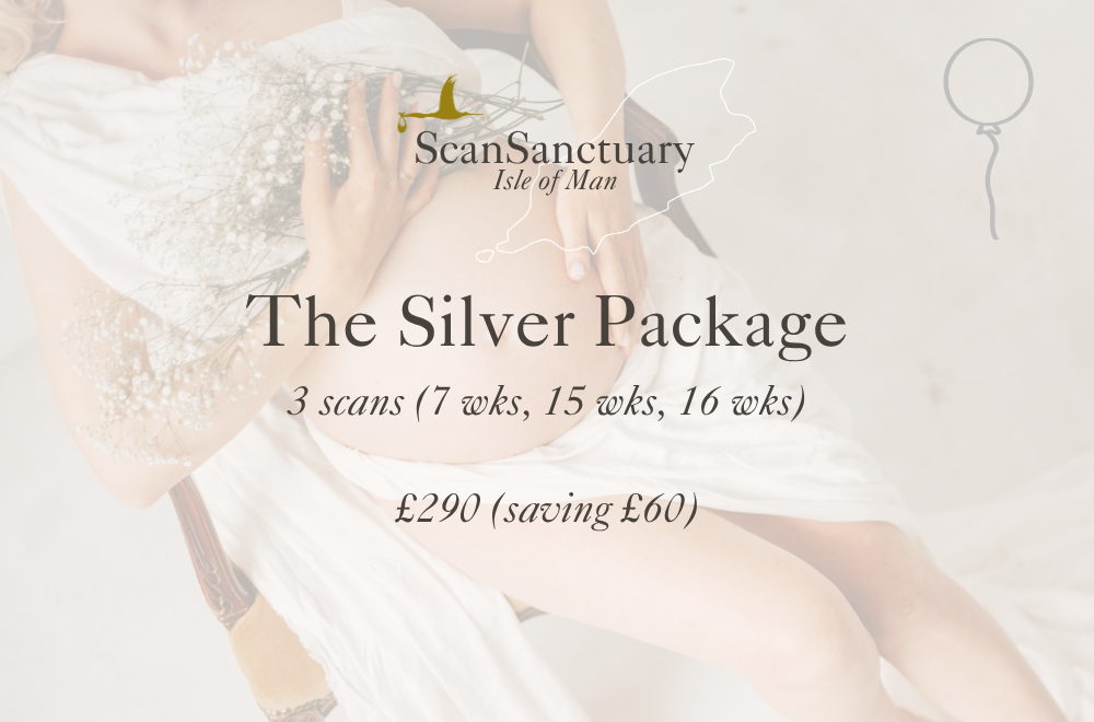 Silver Package