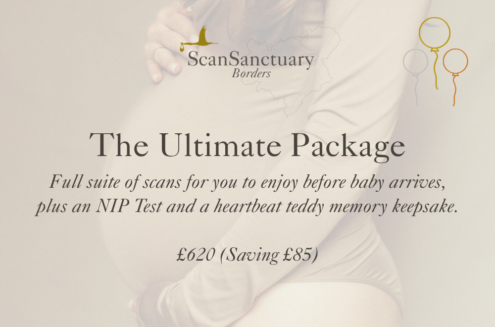 The Ultimate Package