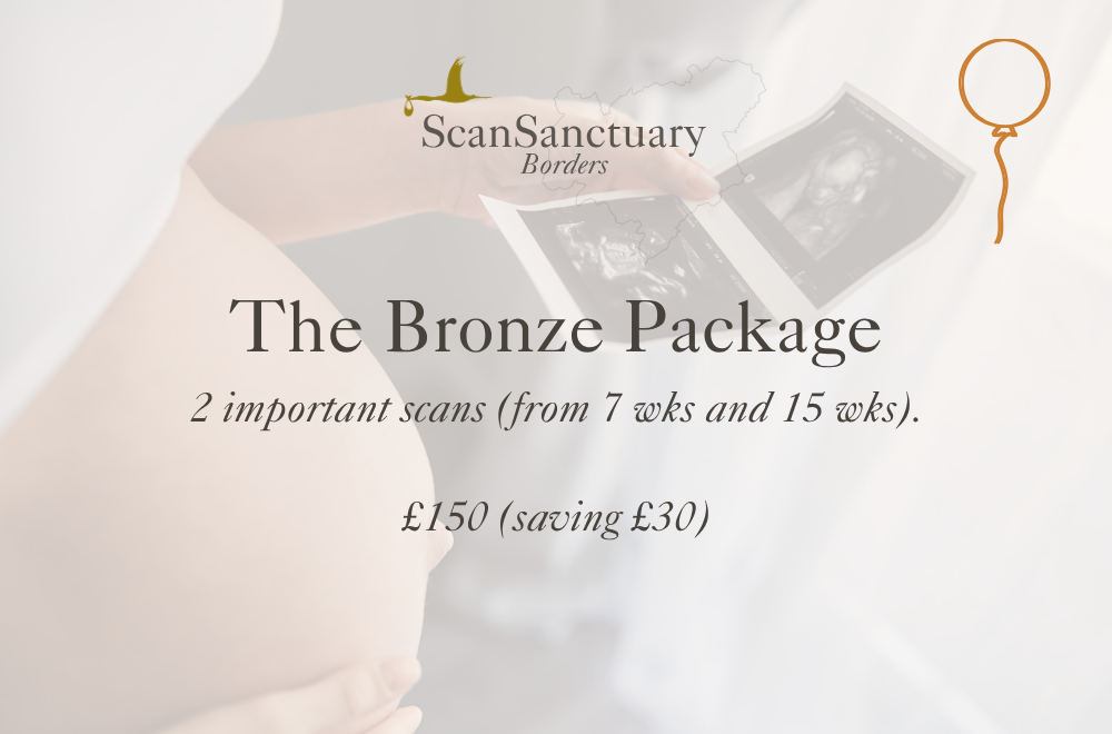 Bronze Package