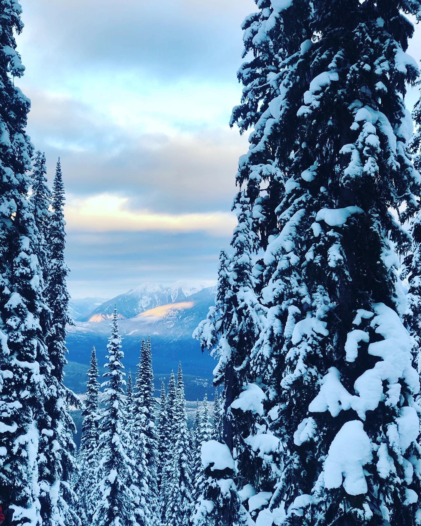 State Of The Snowpack was built on the belief that community coming together saves lives.
That knowledge should be shared - freely, humanly, humbly.
That voices in the mountains matter.
If you’ve attended a SOTS event, learned something,