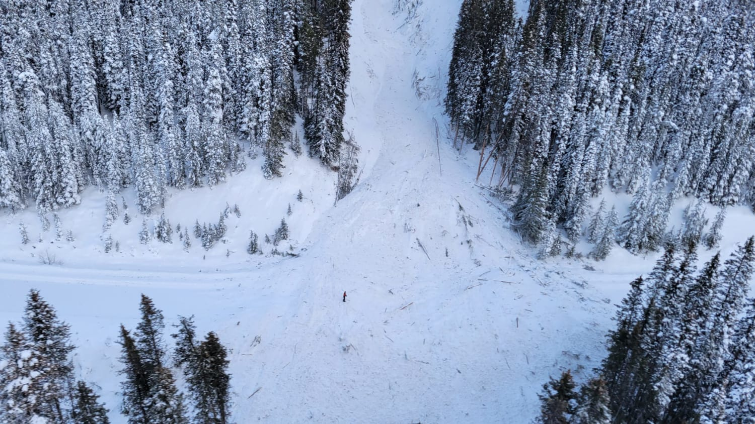 Hector - deposit.png