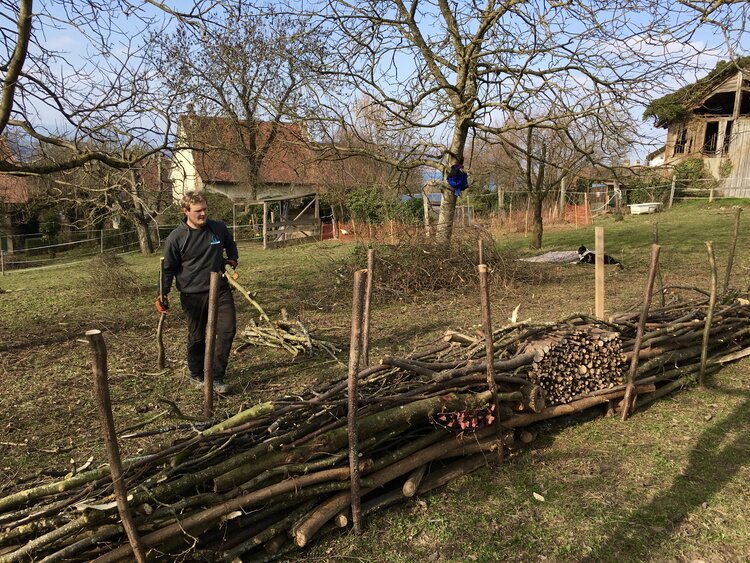 Les premiers aménagements au jardin