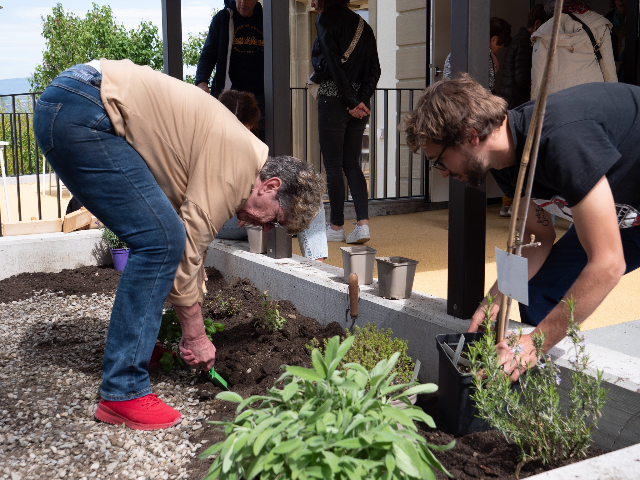 Chantier participatif à Avenches