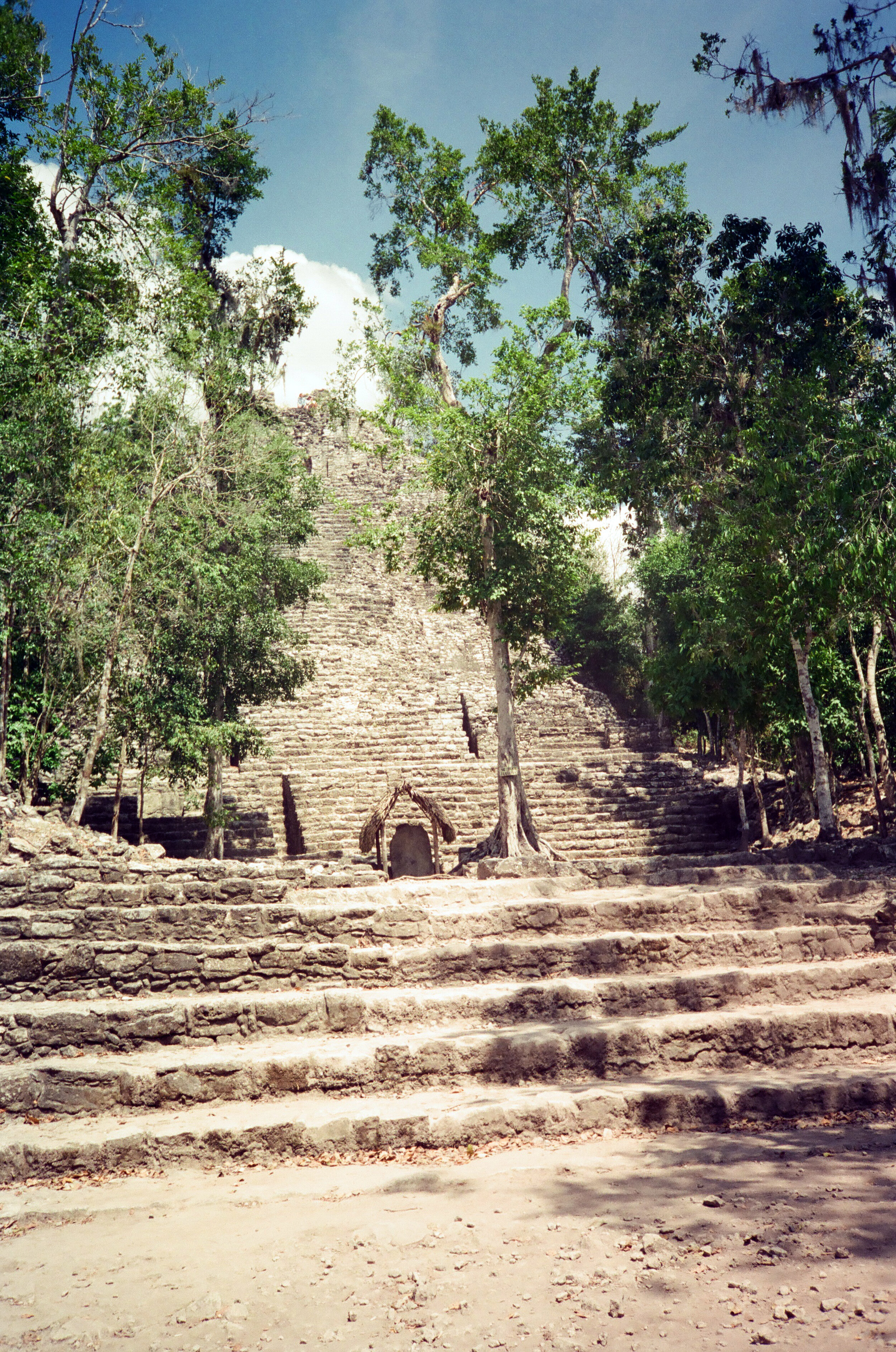 00242_n_r14ajutb9xq0255.jpg