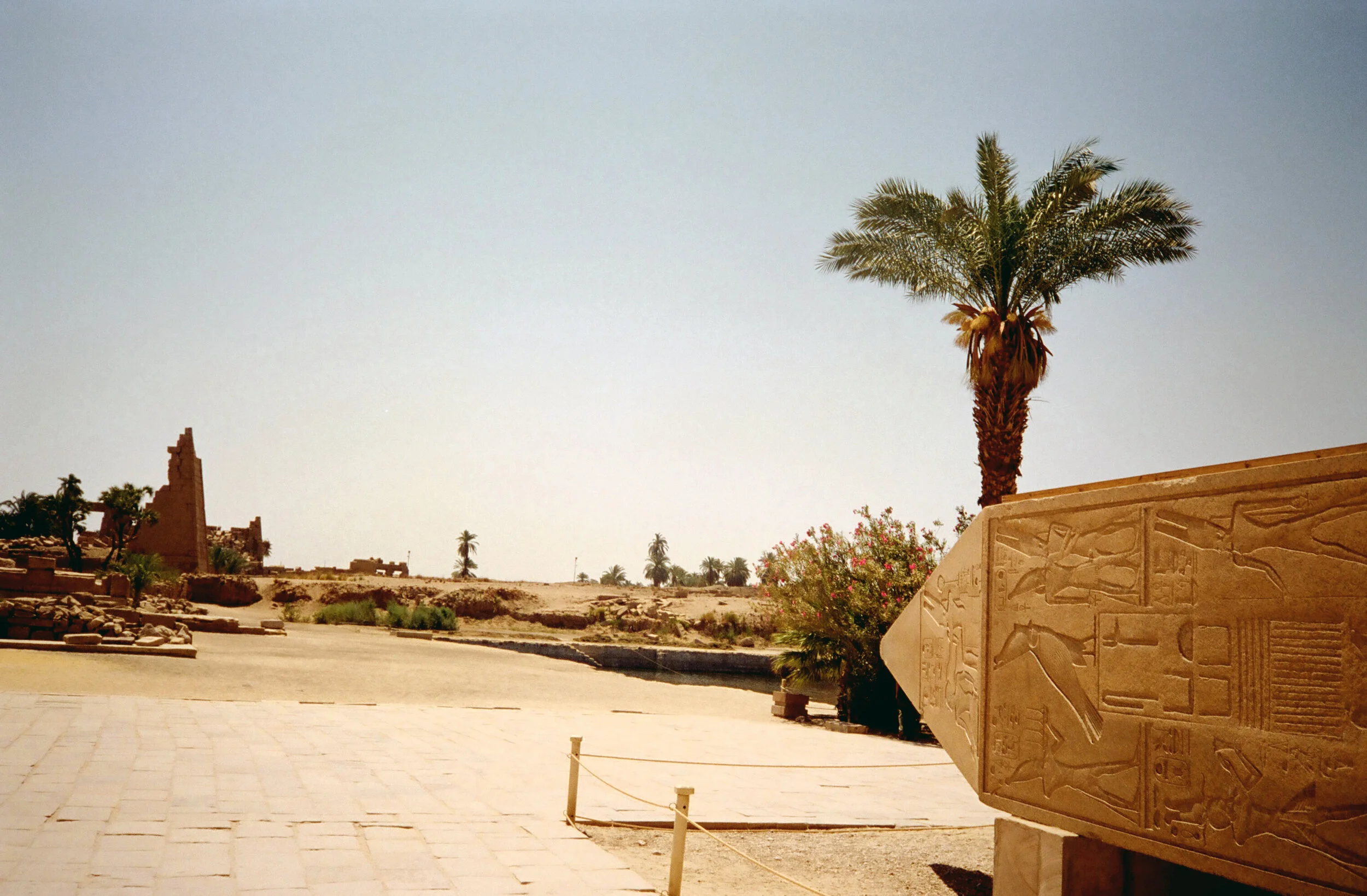 00416_n_13ajutbuyc0438.jpg