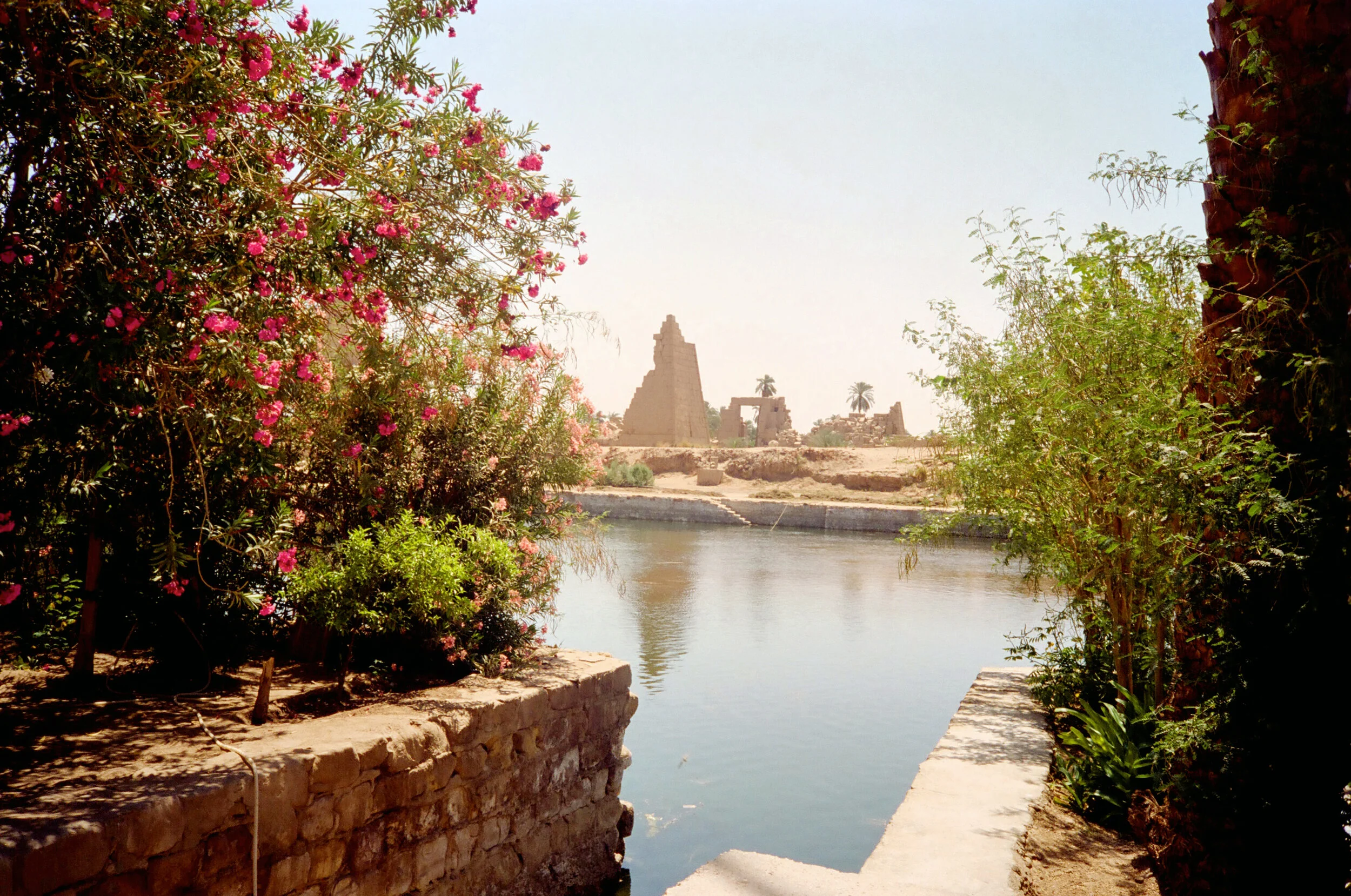 00418_n_13ajutbuyc0440.jpg