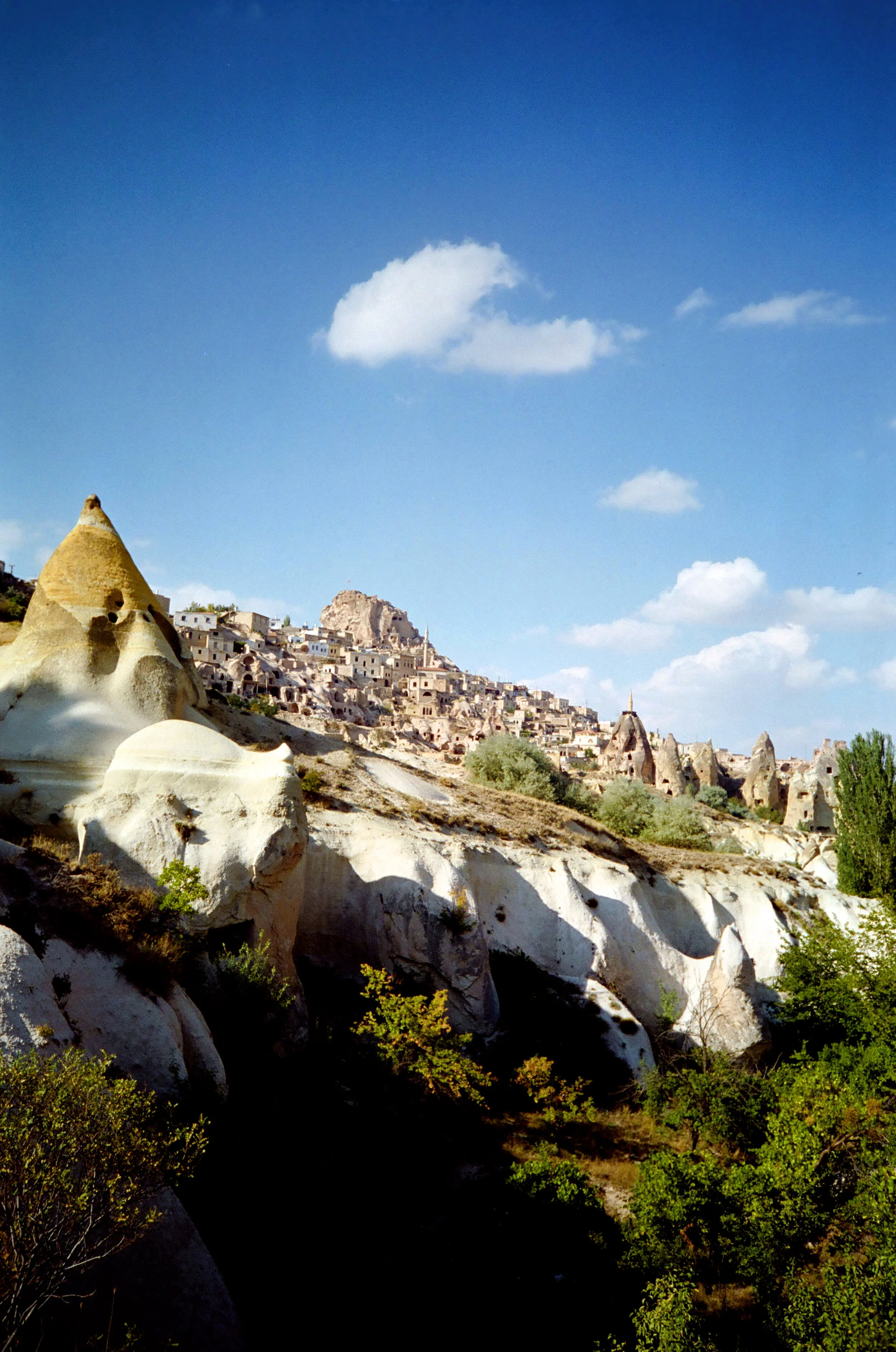 01382_n_13ajutbuyc1407.jpg