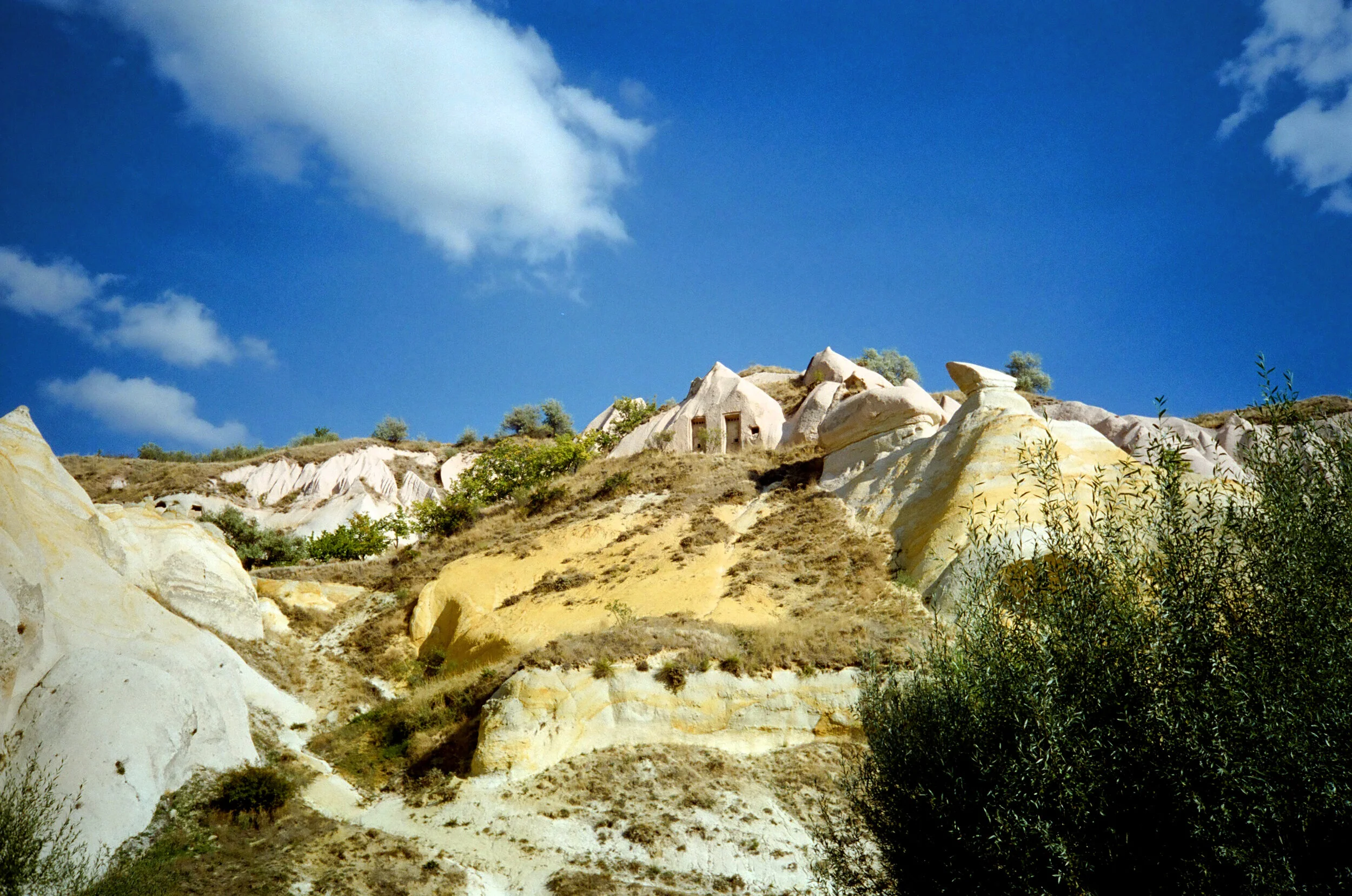 01384_n_13ajutbuyc1409.jpg