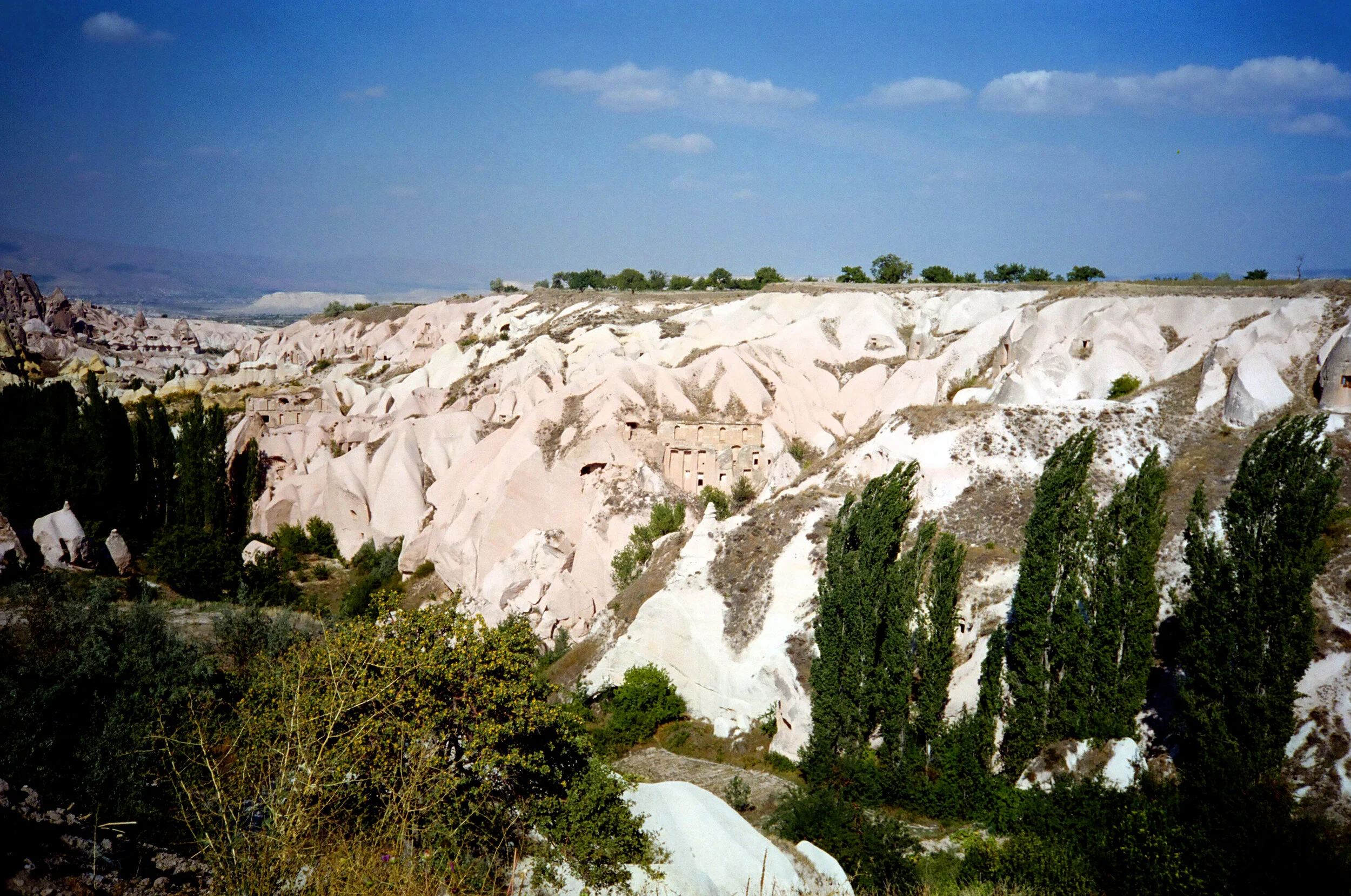 01375_n_13ajutbuyc1400.jpg