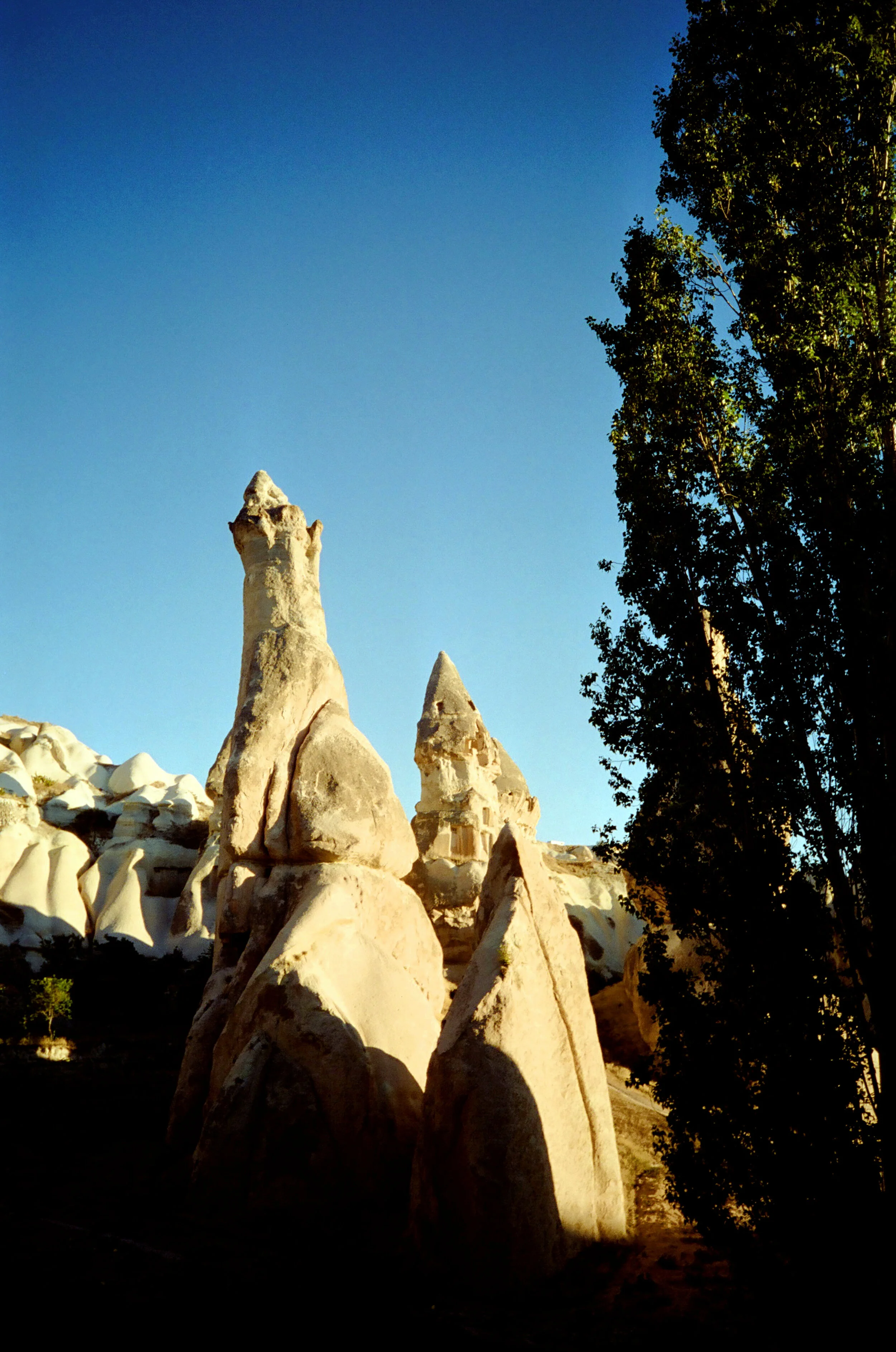01494_n_13ajutbuyc1520.jpg