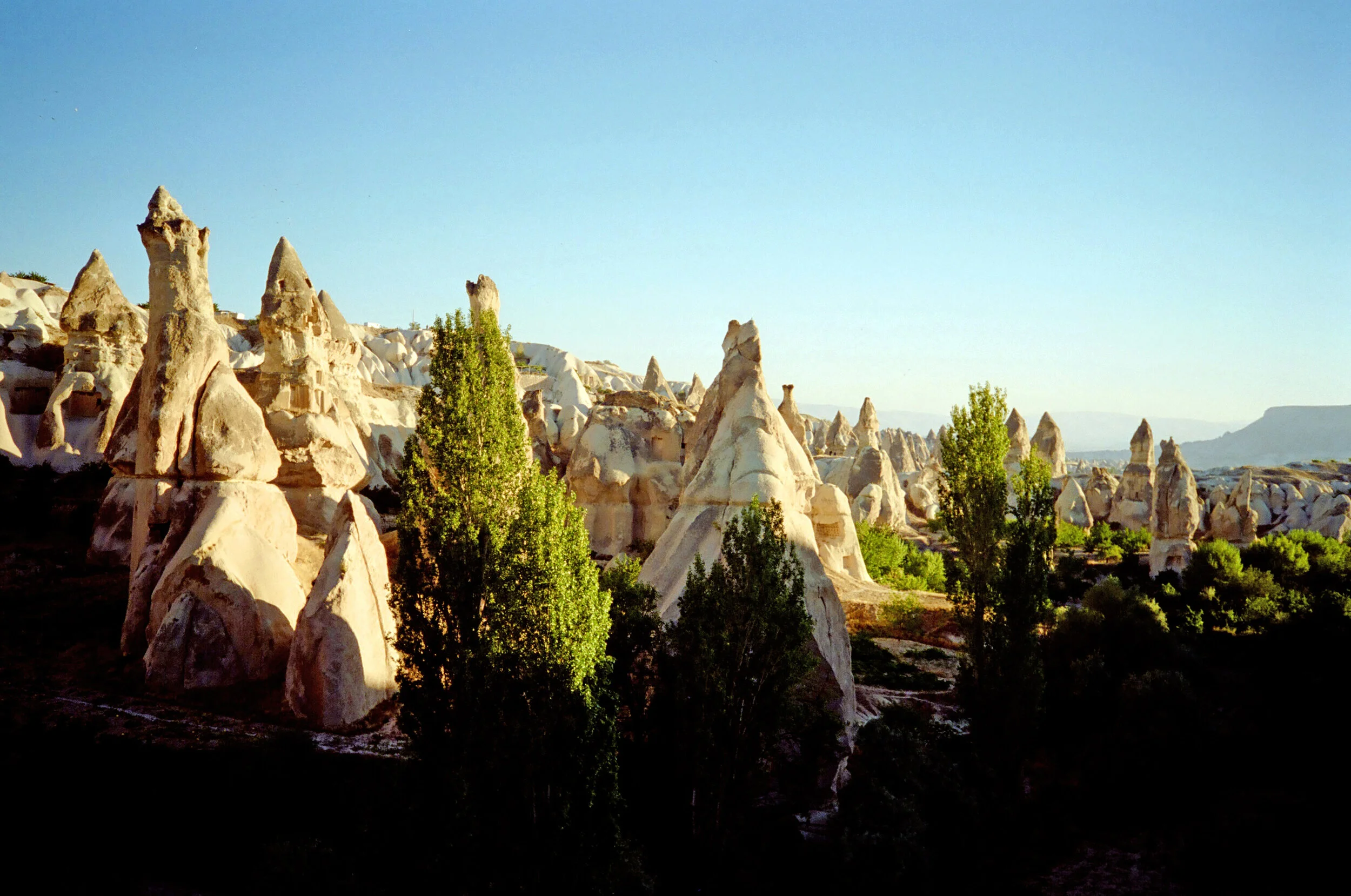 01488_n_13ajutbuyc1514.jpg