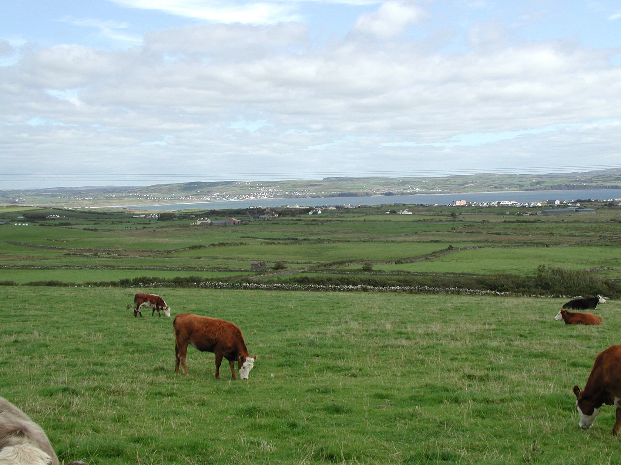 Ireland09.jpg