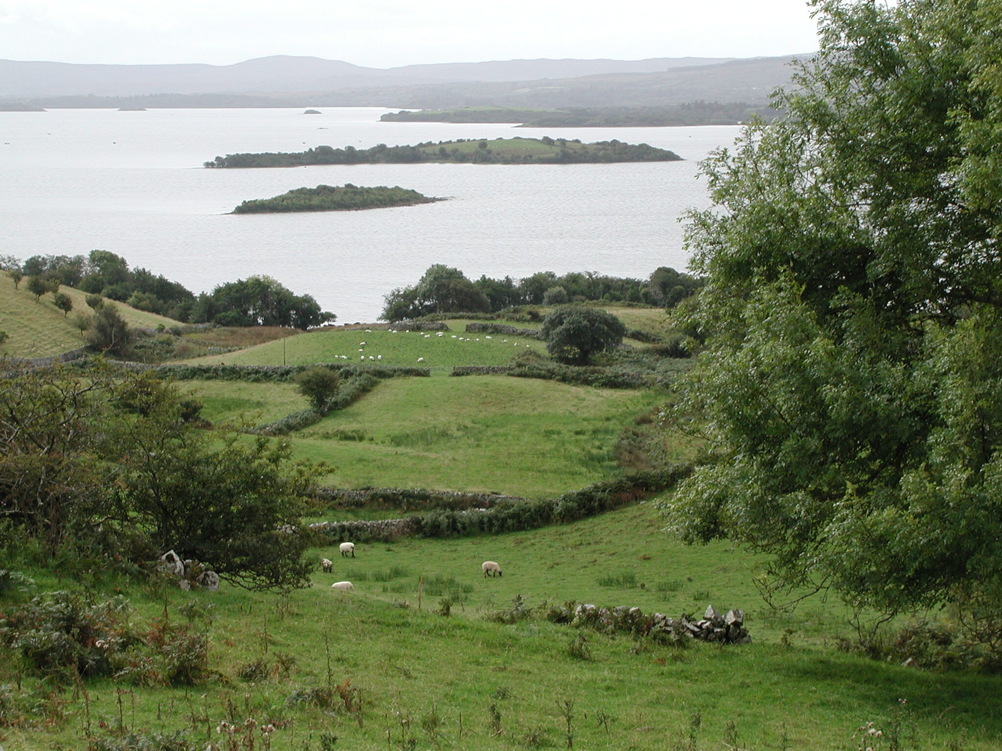 Ireland71.jpg