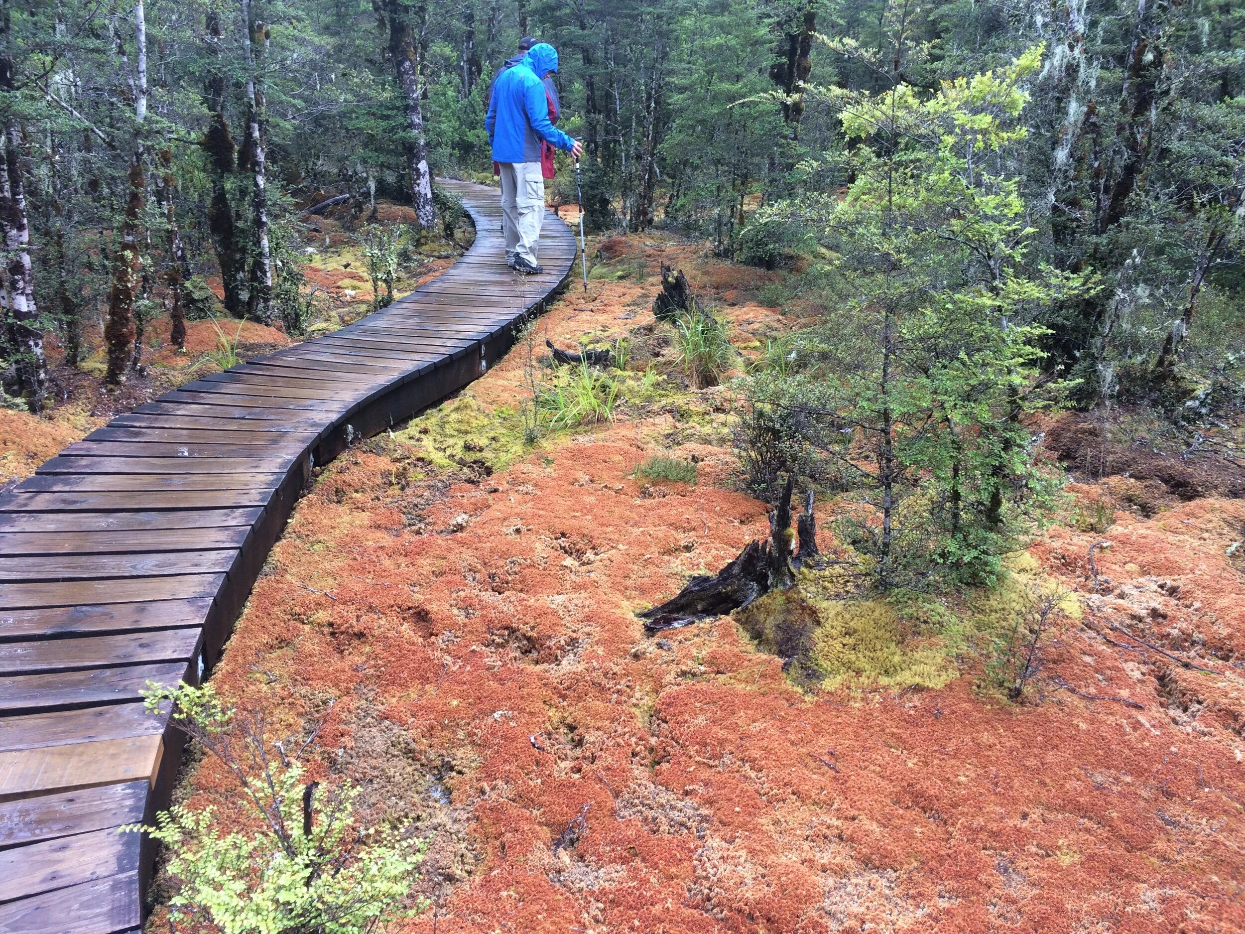 2015-01-18 09.47.22.jpg