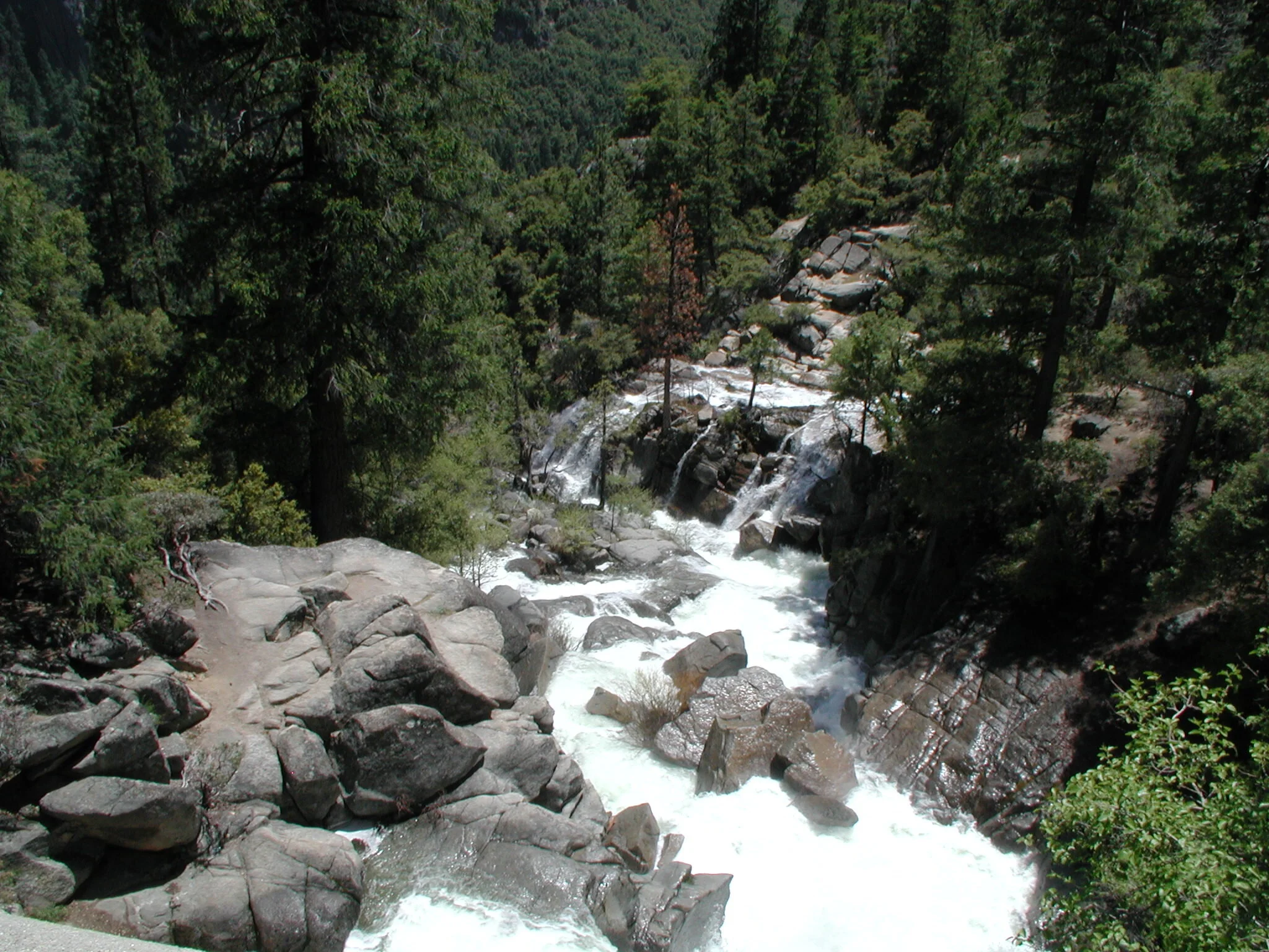 Ysmte007.jpg