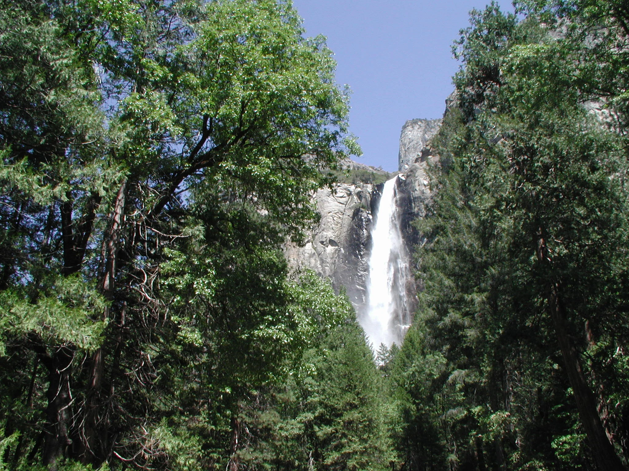 Ysmte024.jpg