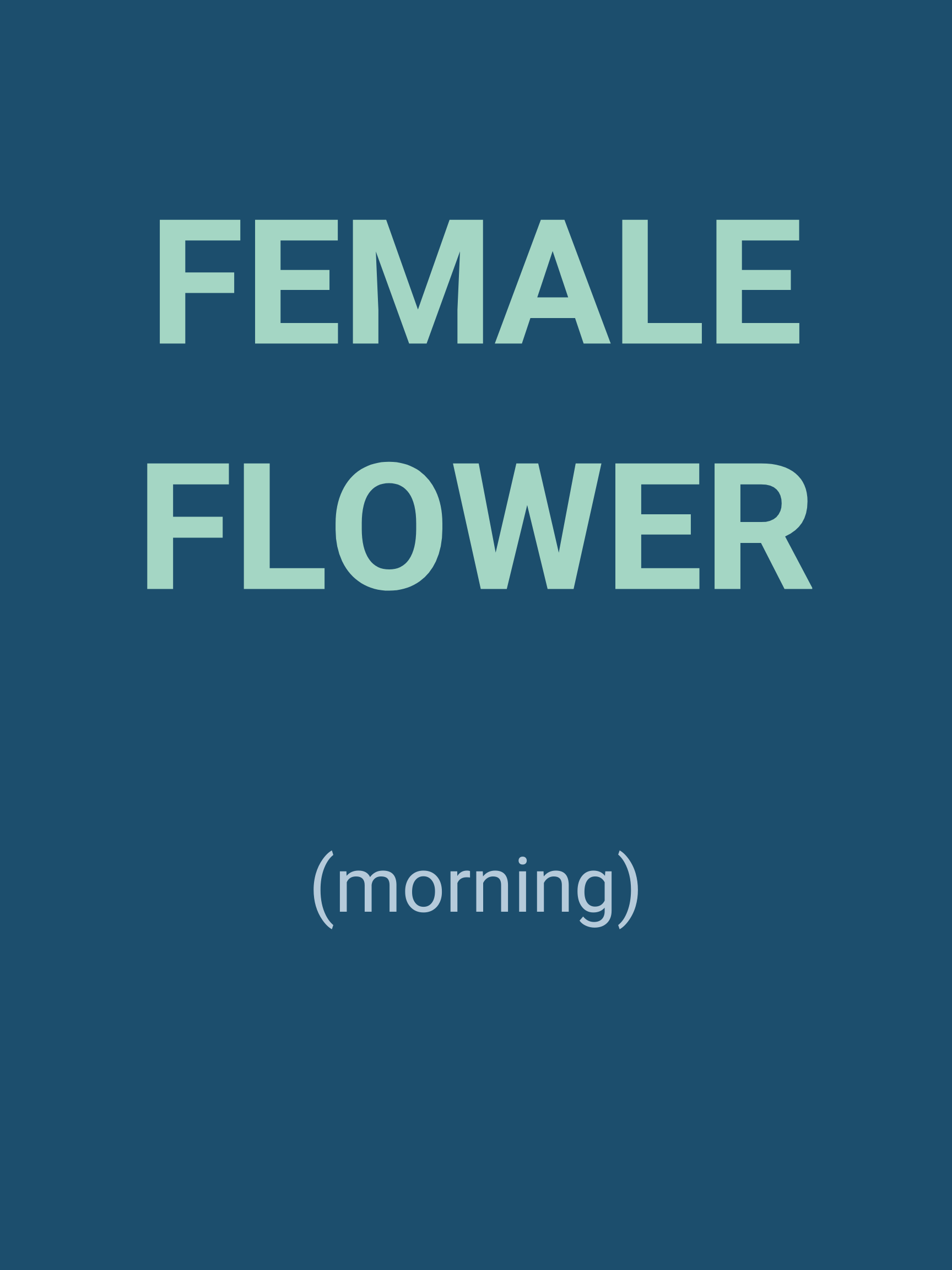 FEMALE FLOWER.png