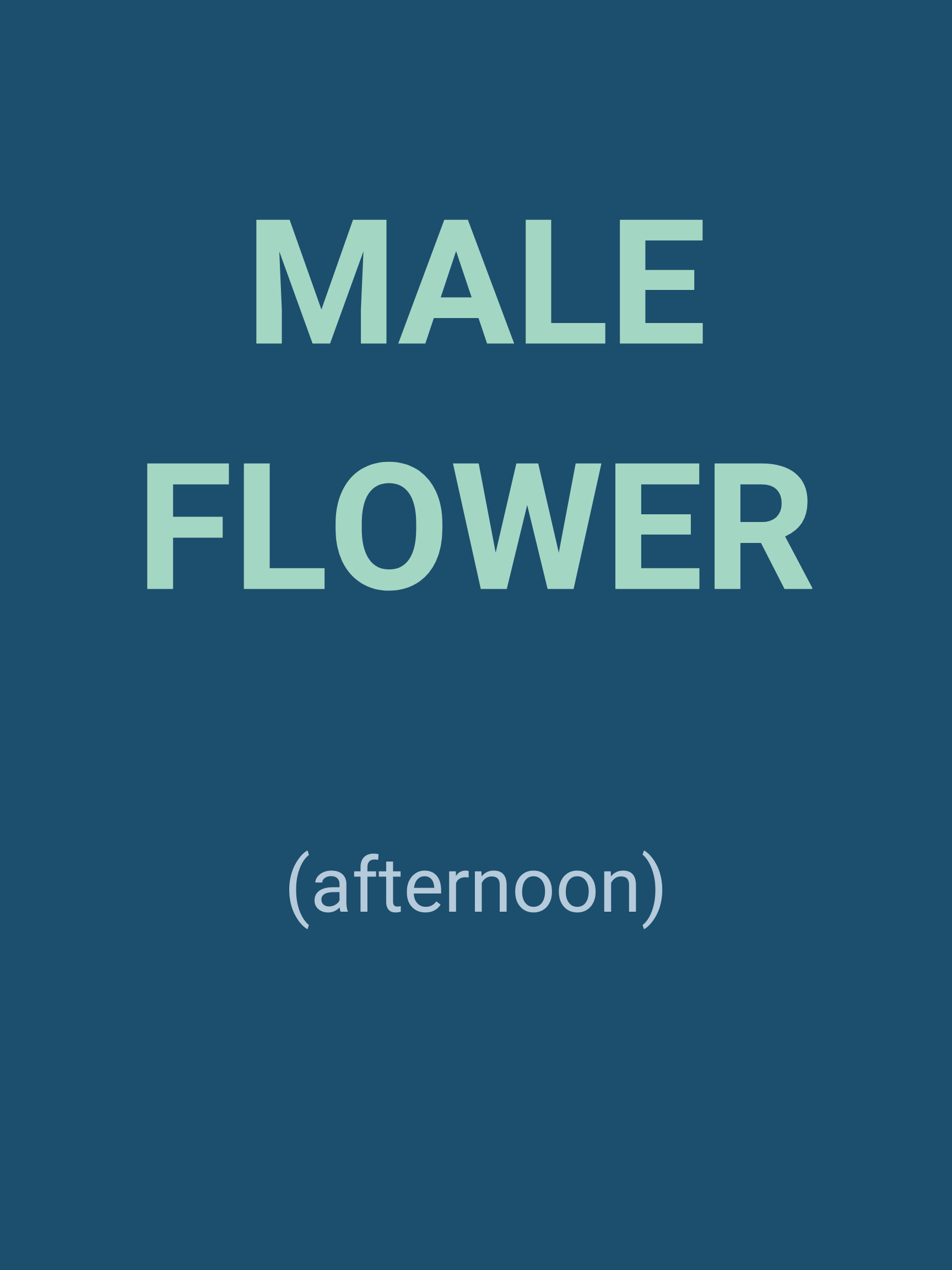 male FLOWER .png