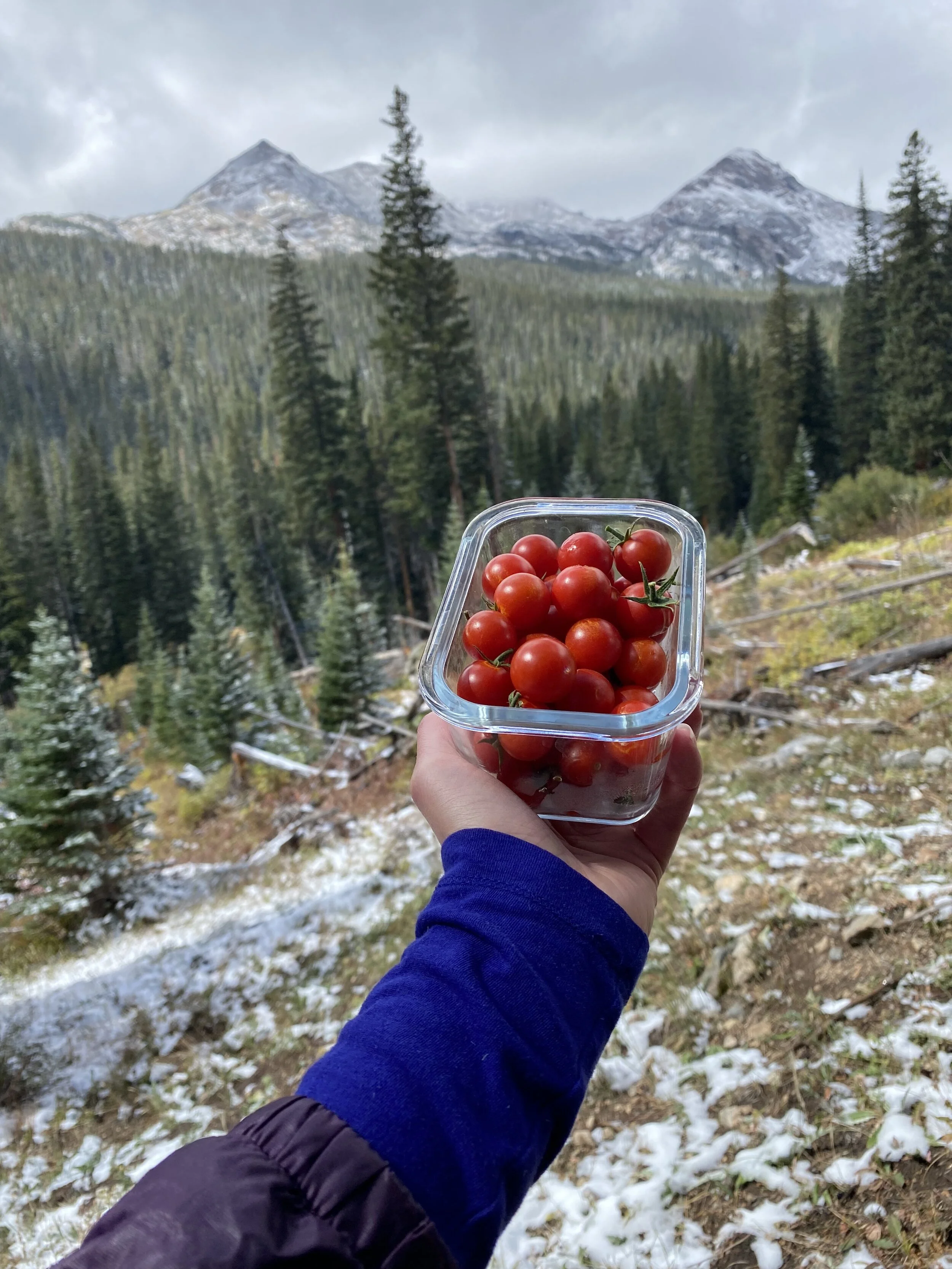 Hiking Snack