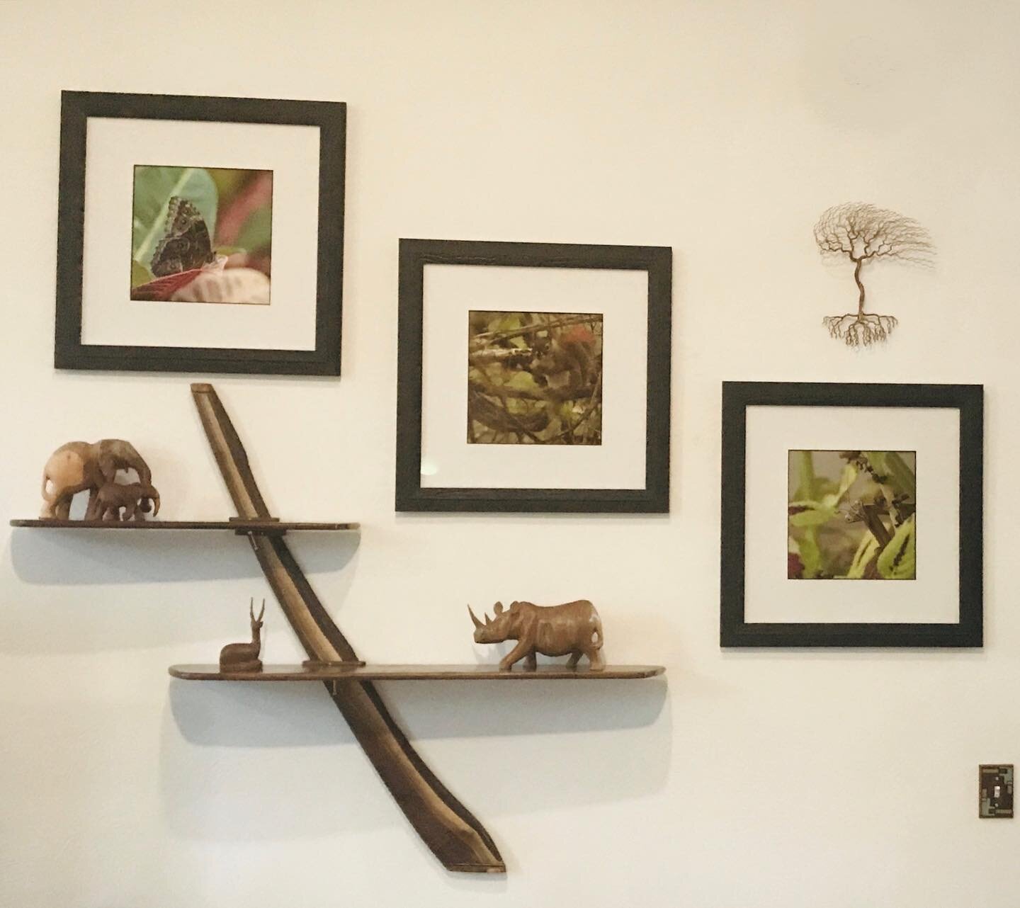 Custom Walnut Shelf System now living in Battle Creek #michigan #woodworking #woodshelving #adjustable #design #interiordesign #artforart #liveedgewood #naturaledge #walnut #artwall #displaydesign #homegallery #oneofakind #art #arts #thinkglobal #sho