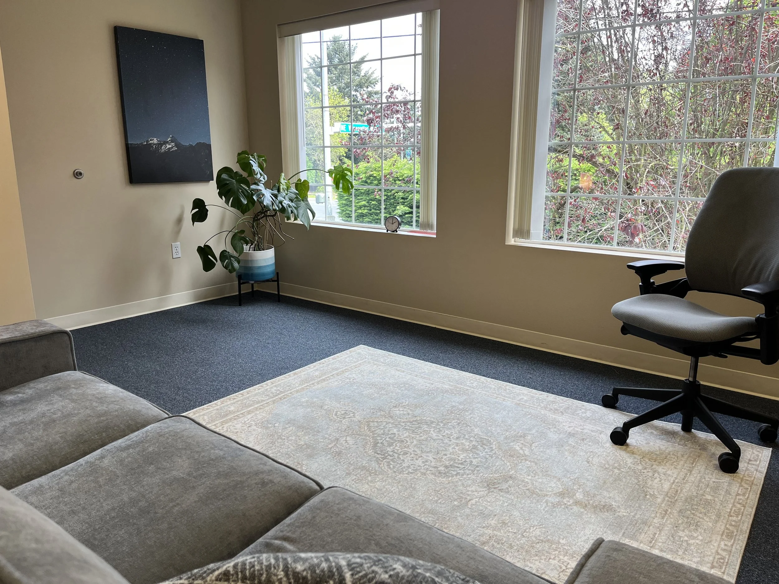 Therapy office with windows and natural light