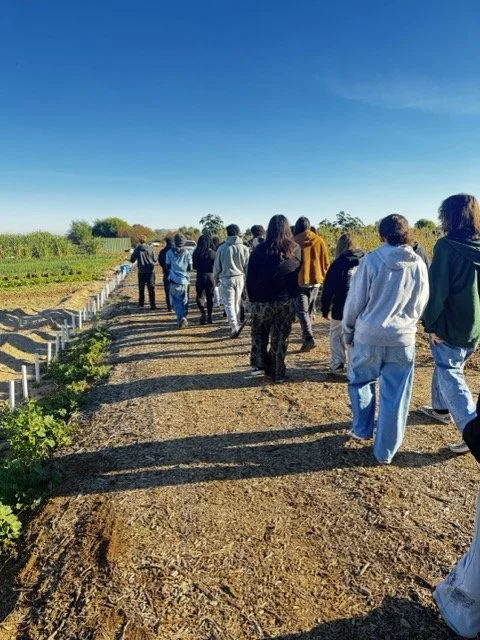 LTYD Youth Farm_3929 Medium.jpeg