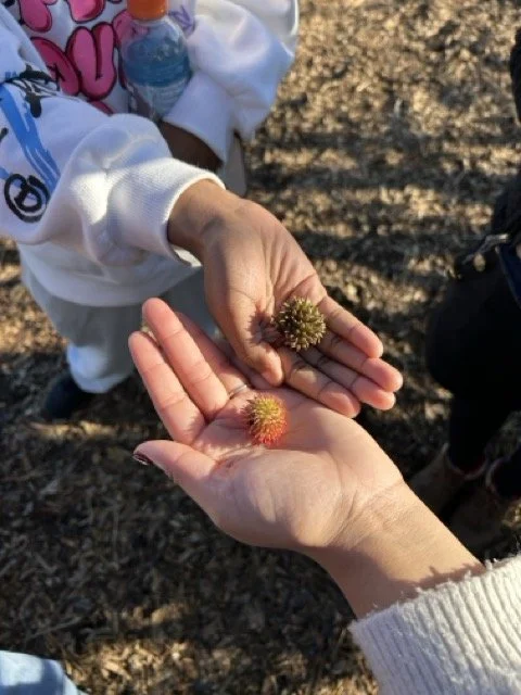 LTYD Youth Farm_4665 Medium.jpeg