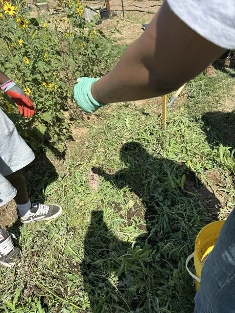 06 LTYD Farm Program 2026.jpeg