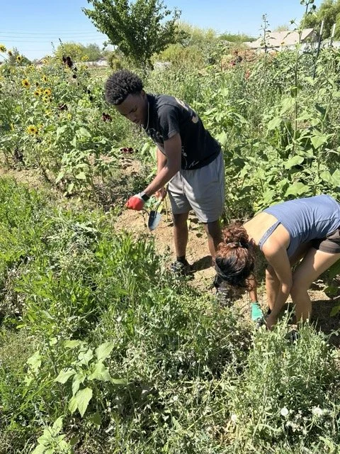 04 LTYD Farm Program 2026.jpeg