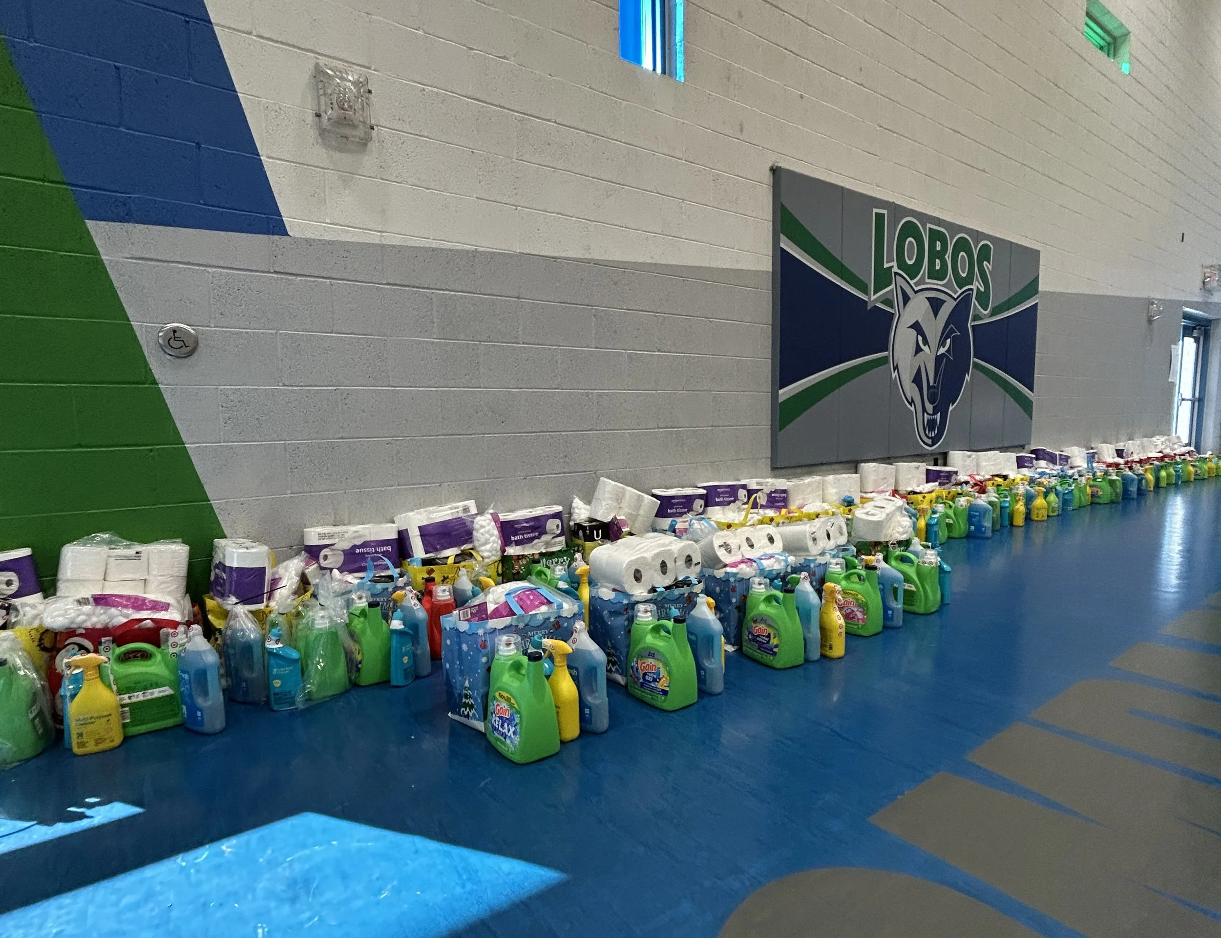 LTYD Destiny Boxes 25_4.JPG