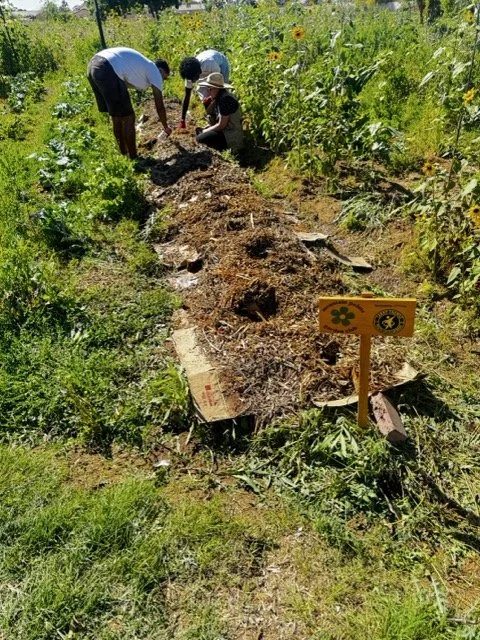 11 LTYD Farm Program 2026.jpeg