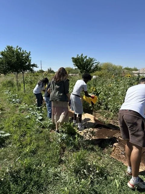 09 LTYD Farm Program 2026.jpeg