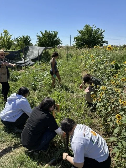 03 LTYD Farm Program 2026.jpeg