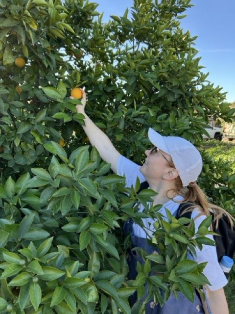 LTYD Youth Farm_4672 Medium.jpeg