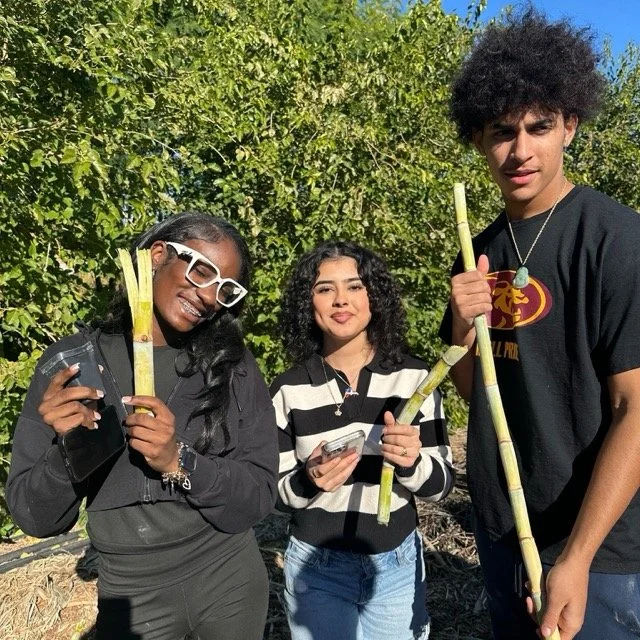 LTYD Youth Farm 2025_4 Medium.jpeg